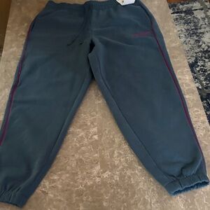 Woman’s Blue Jogger Pants